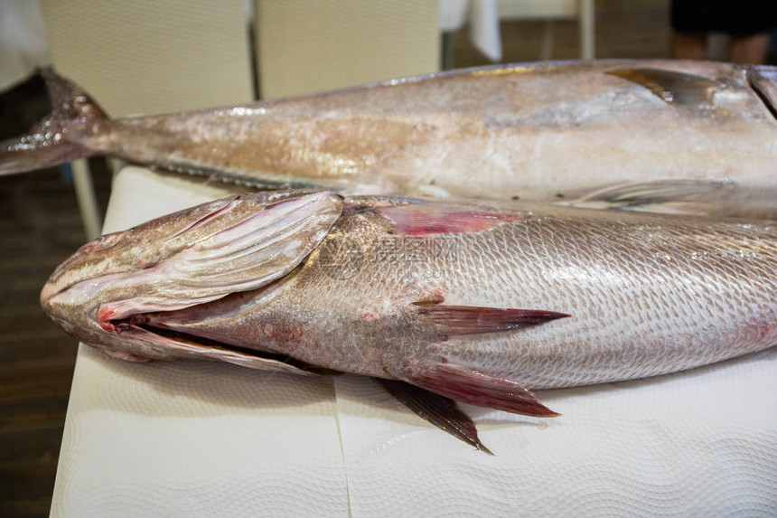 两条新鲜的鱼科维纳鳄鱼小鼠稀少犹虎鱼和大戒甲鱼或白纸桌布上的SeriolaDum图片