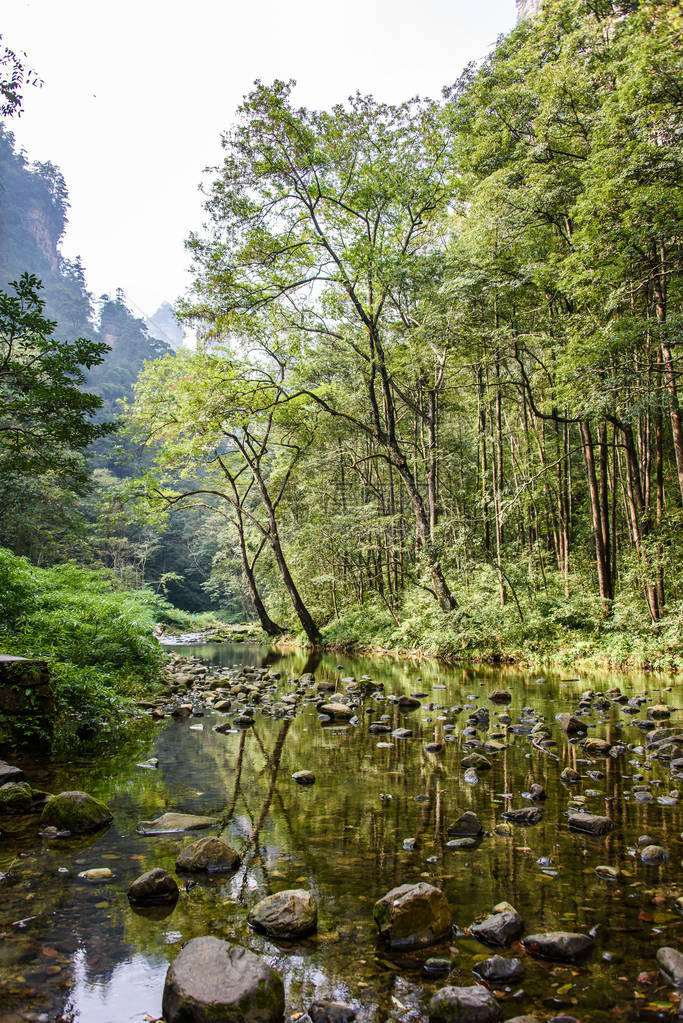 胡南Zhangjiahi附近Unesco世界遗产地Wwlingy图片