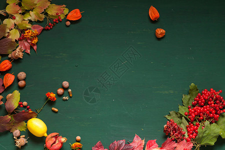 秋天背景红色和黄色叶子坚果图片