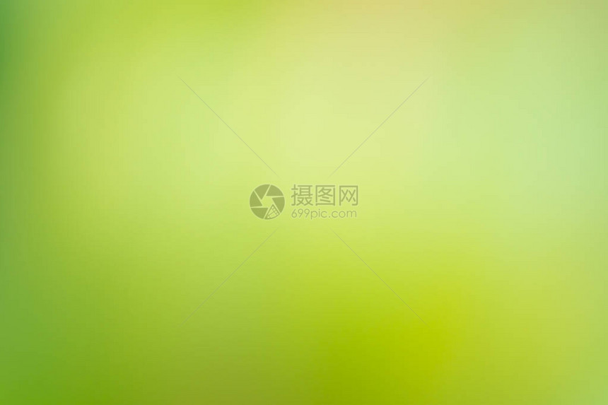绿色模糊的背景焦点叶子背景的绿色散景新鲜的绿色生物图片