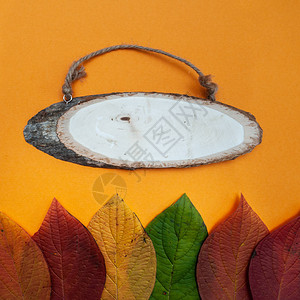 秋天概念多彩叶子和橙色背景的木制生锈标志板图片