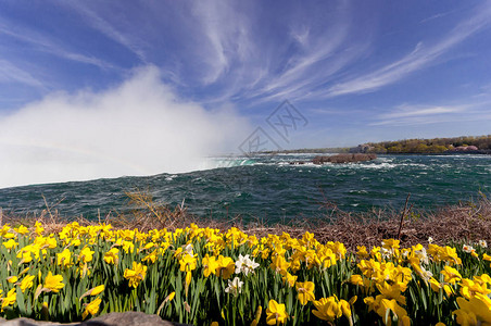 春季在尼亚加拉瀑布NiagaraFalls和加拿大图片