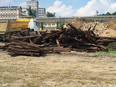 旧建筑树桩隔离背景图片