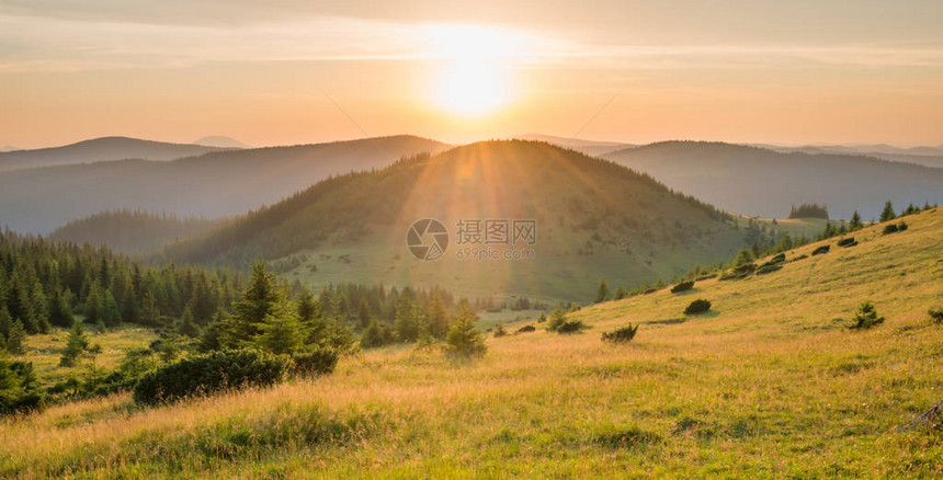 山上日落的景象森林绿草和巨光灿烂的天图片