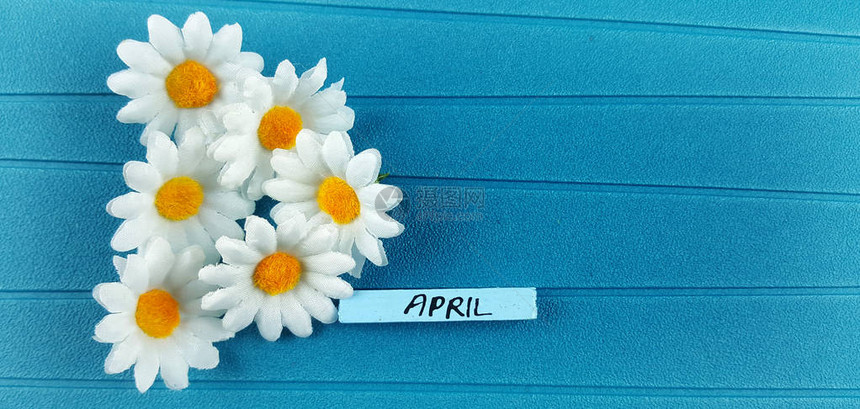 带有四月刻字和雏菊的蓝纸图片