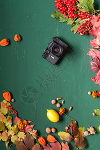黄红叶木背景老相机图片