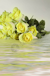 一束黄玫瑰娇嫩的花朵图片