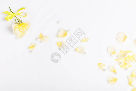 明亮的黄色花瓣在白色背景上飞舞图片