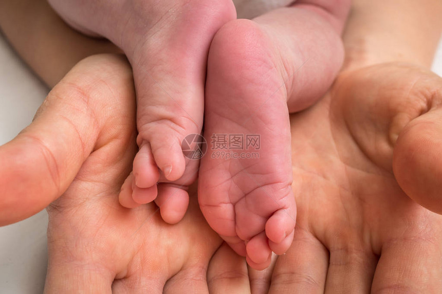 新生儿婴脚掌在母亲的手中图片