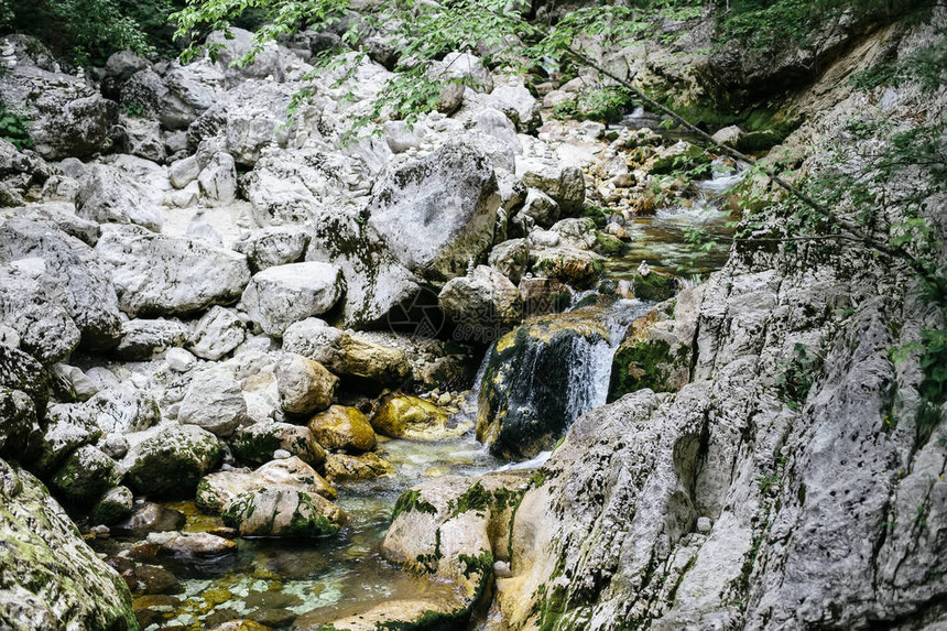 斯洛文尼亚Bohinj山谷萨图片