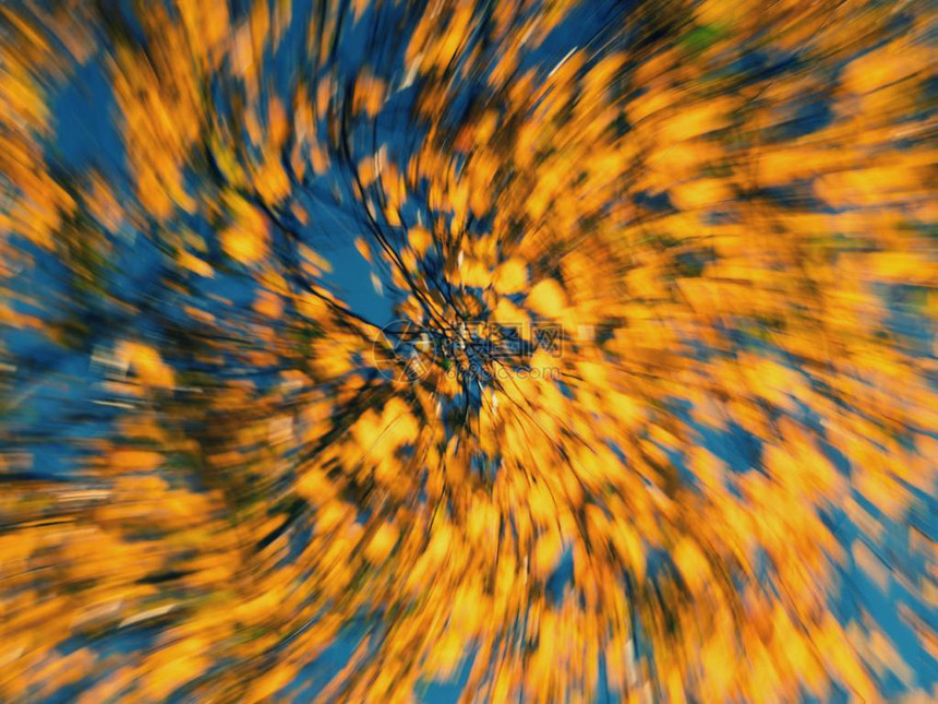 秋背景分散焦点的11月色彩多的树叶在图片