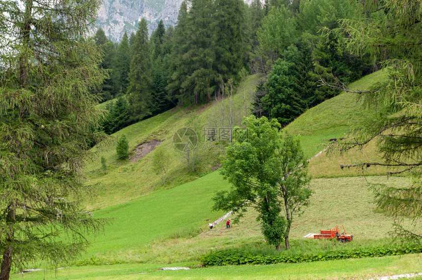意大利多洛姆山的鲁格德阿尔卑斯山在令人愉快的夏天图片