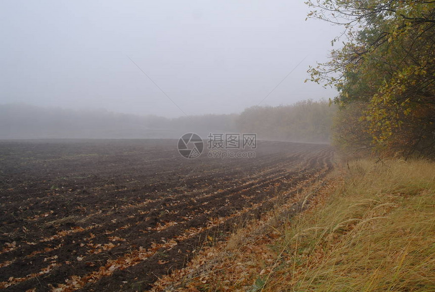 秋天的农村风景在晨图片