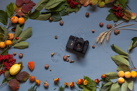 秋天背景相机和红色的浆果实坚果叶图片