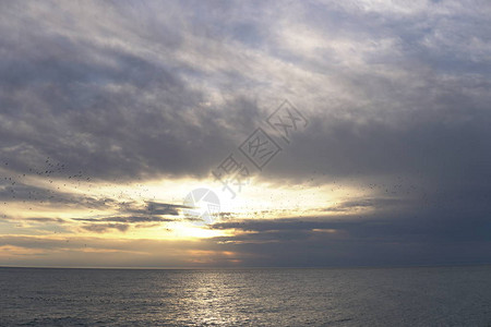 景观晚上海和天空与云1图片