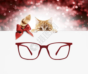 圣诞眼镜礼品卡带红色眼镜和红丝结弓的姜猫在模糊的Xma光上图片