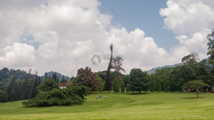 亚洲有山丘和田地的绿色景观图片