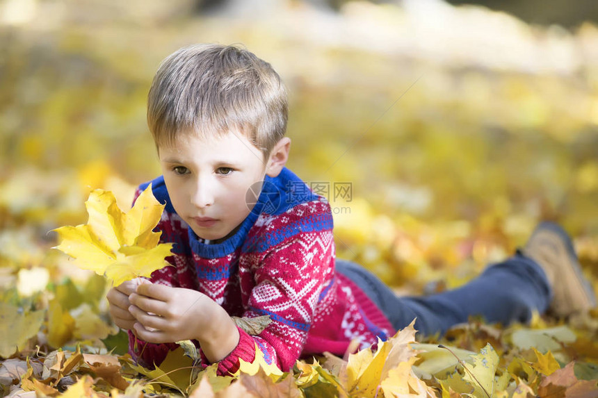 悲伤的美丽的孩子秋天有红树叶这男孩图片