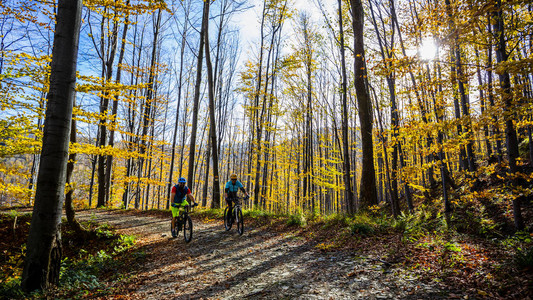 贝斯基迪山森林景观秋天的男女赛车手夫妇骑着MTB内特罗轨道图片