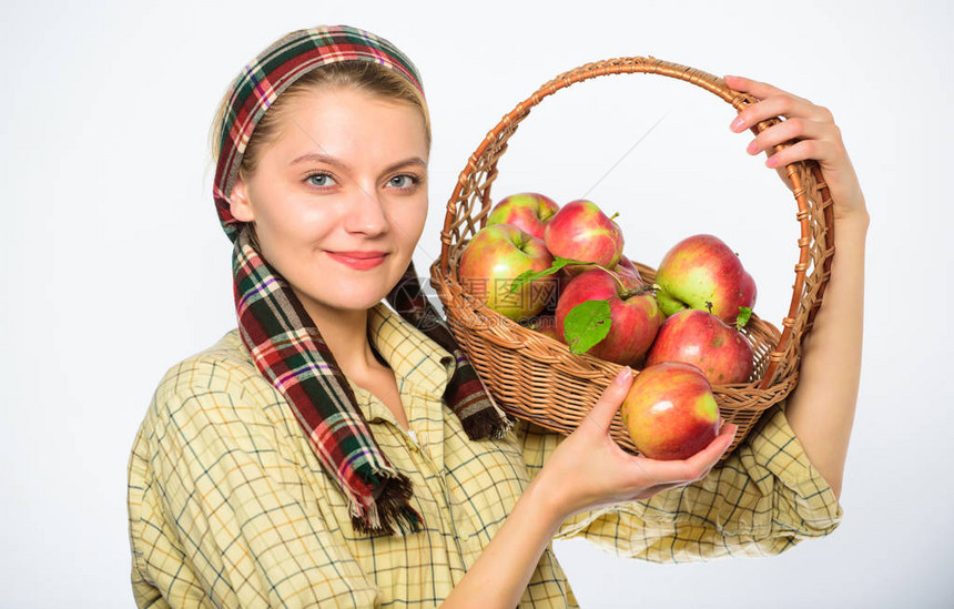 女村民携带篮子天然水果女园丁质朴的风格拿着篮子里有白色背景的苹果女农园丁知道如何用苹果做许多食谱图片