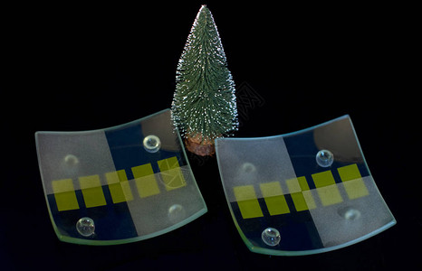 玻璃板和绿色圣诞树桌子布置图片