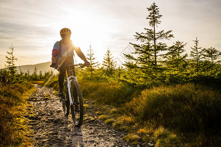 骑自行车的女人在秋天的山林景观中骑自行车骑自行车MTB流径的女人图片