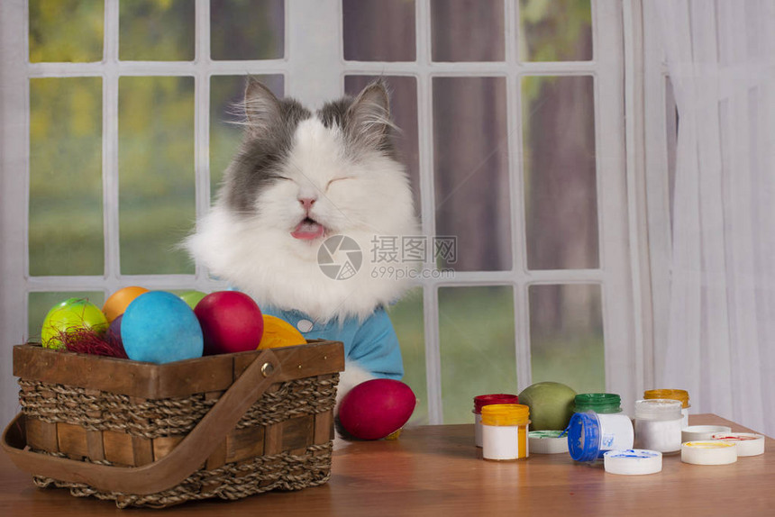 猫为复活节画彩蛋图片