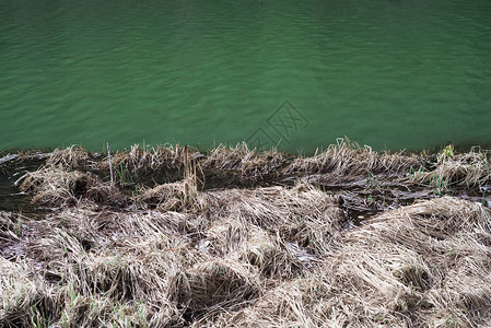 干草和绿湖的背景图片