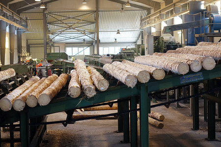 在锯木厂加工木材林业图片