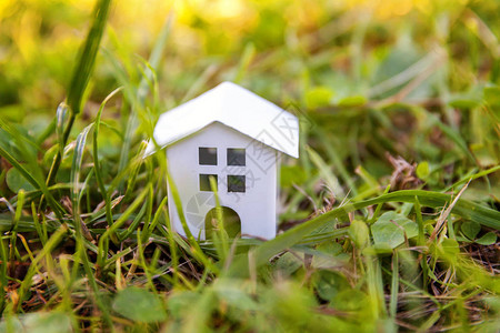 微型白色玩具模型房子在有草的甸图片