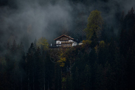 迷雾森林中远处房屋的风景图片