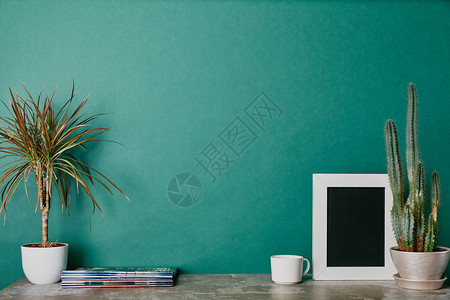绿色背景的植物照片框架日图片