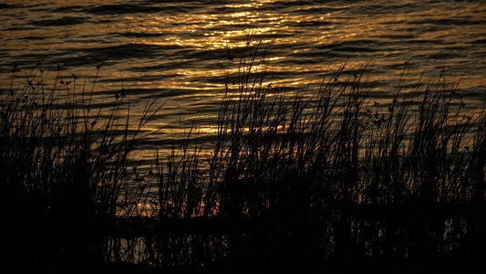 在爱沙尼亚清凉的海水和太阳反射着宁图片