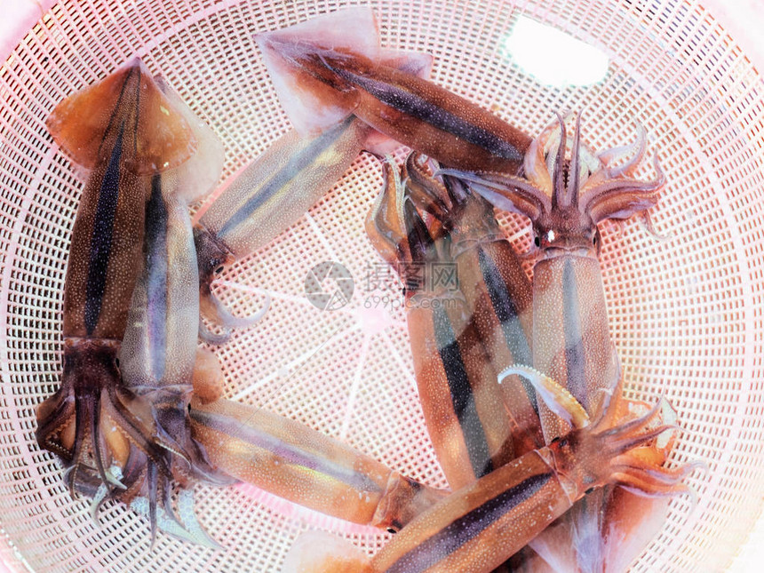 在韩国釜山的Jagalchi著名鱼市图片