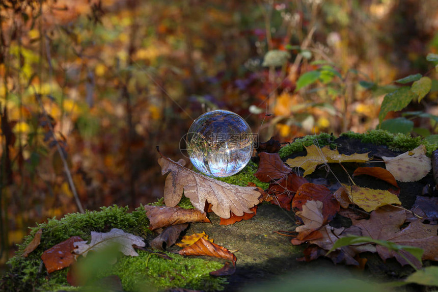 通过一个玻璃球的秋天与玻璃碗相图片