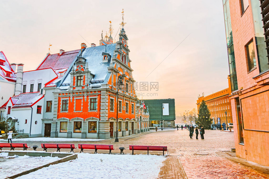 在拉脱维亚的里加冬天建造黑头图片