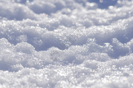 雪和阳光一起闪耀雪背景关闭冬天明亮的飘落的雪花圣诞卡背景新图片