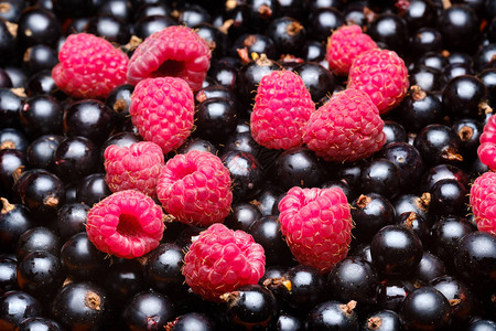黑醋栗和覆盆子红色和黑色的夏季浆果图片