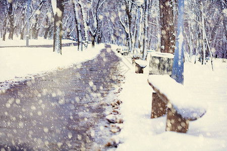 冬天下大雪的宁静公园图片