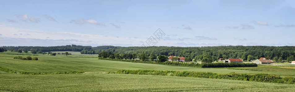 夏季的丹麦乡村全景图片