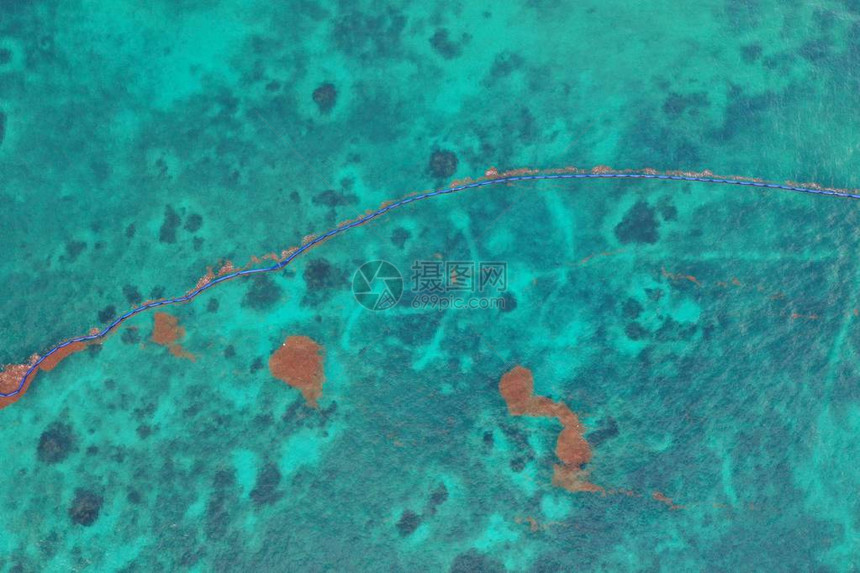 墨西哥Tulum海藻覆盖图片