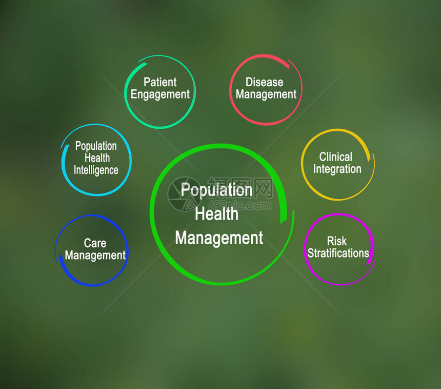 人口健康管理的组成部分图片