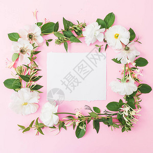白色花朵的花框图片