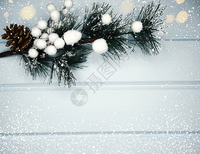 圣诞背景fir树枝木制蓝色板背景图片