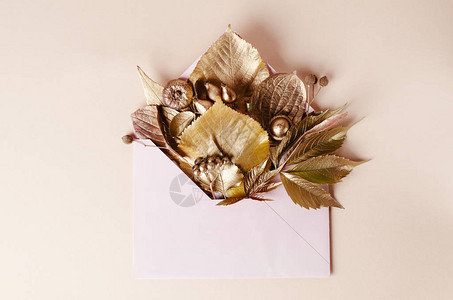 秋天的构成模版金叶在邮袋里秋天的概念图片