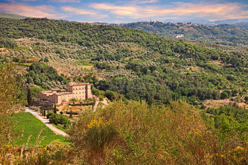 山景与橄榄树葡萄园和Potentino古城堡图片