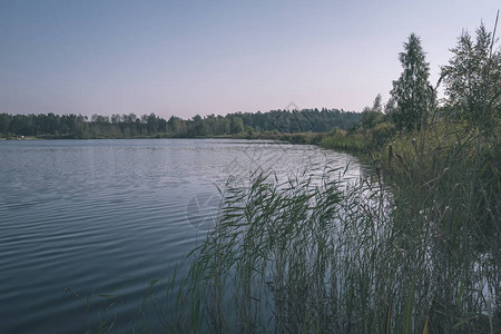 乡村湖泊或河流中清澈的水自然反射秋天的颜色复图片