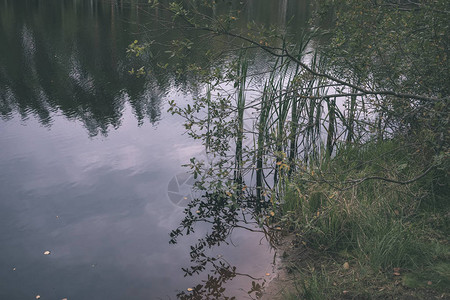 秋天湖泊或河流的清水中反映的图片