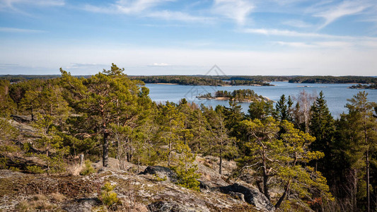 芬兰的岩石海岸线夏季鲜有图片