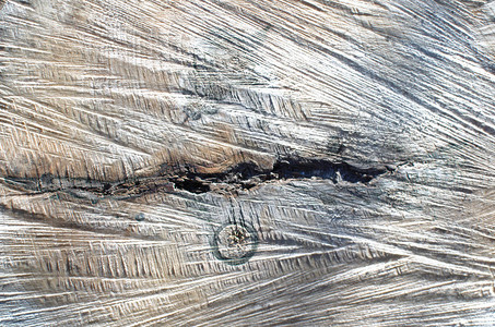 老树切割特写的背景图像背景图片